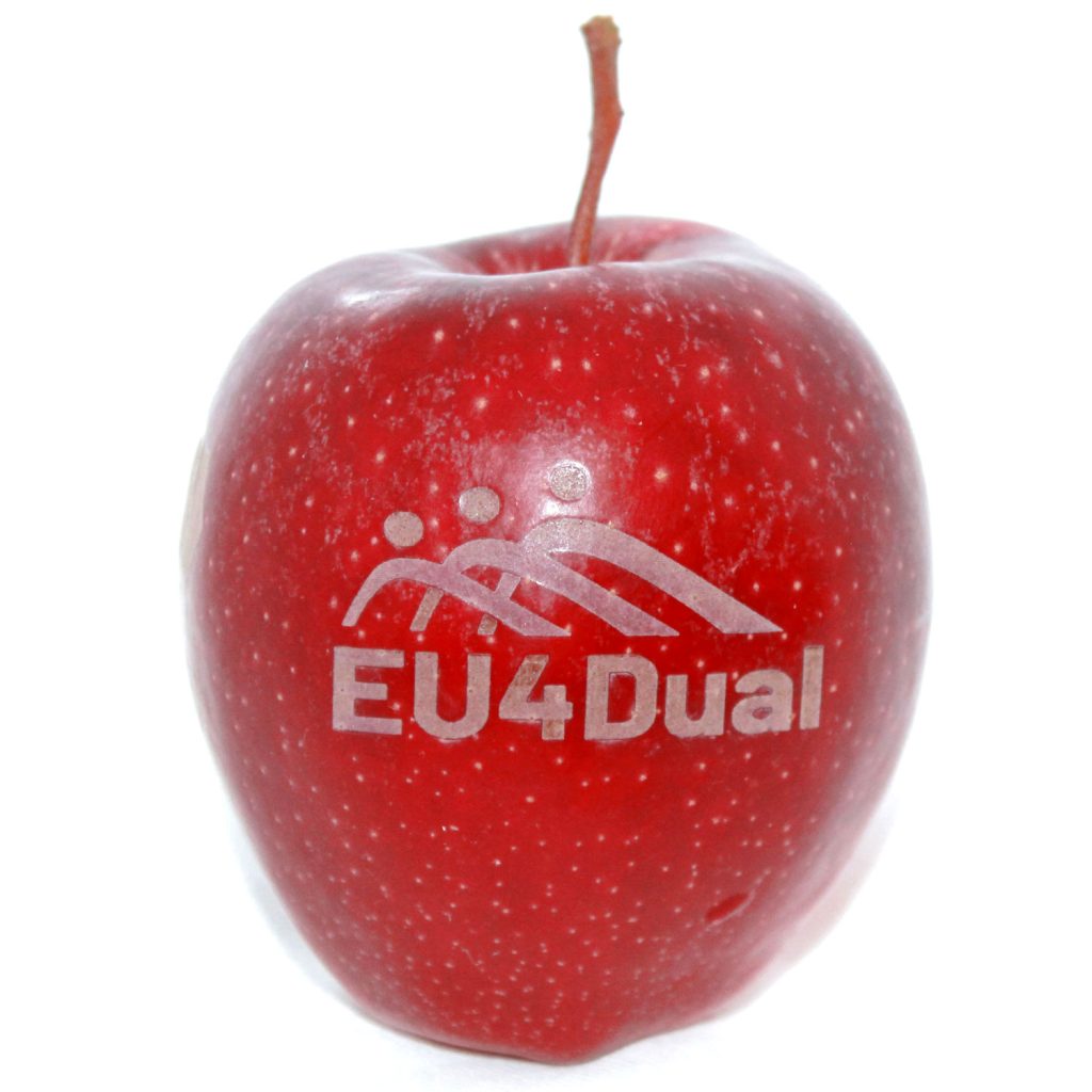 aepfel in form referenzen eu4dual