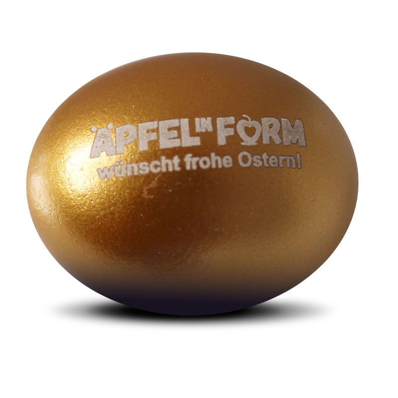 ei mit firmenlogo 05